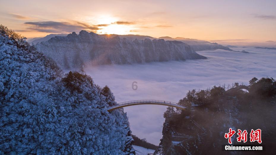 沪江开心词场