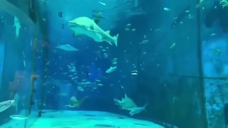 房子的楼层越高是不是噪音就越小呢？