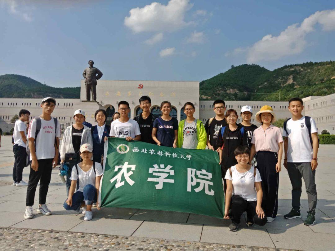 虫虫助手下载
